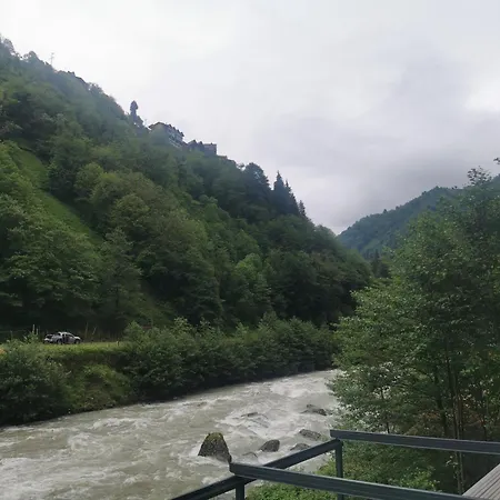 Yesil Doga * Camlihemsin